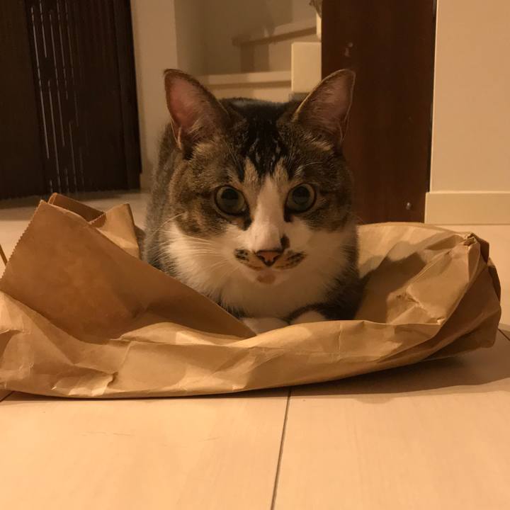 E6178df5 d2d7 4358 8f33 bbd300e7238a 1527161419949