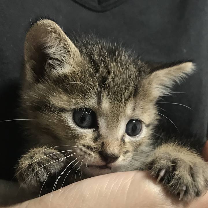 E6179234 a73e 486a 8ffd a0a43cc968d5 1758594338794