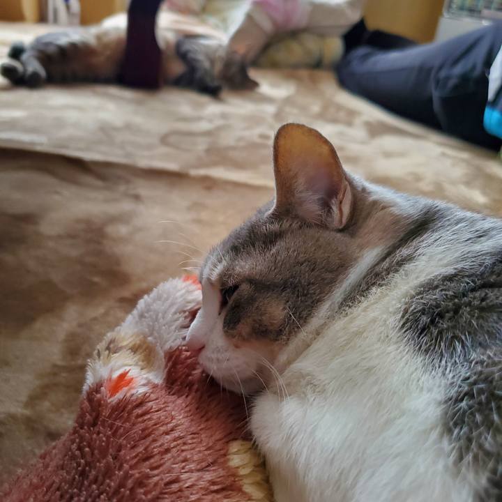 E61798c2 a7a9 465d 9030 2713b97ac723 1708966436252