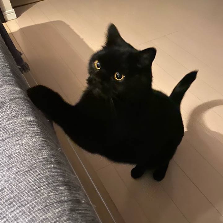 E617fd10 5a73 4f09 98db ae5d172a7ca0 1744114676174