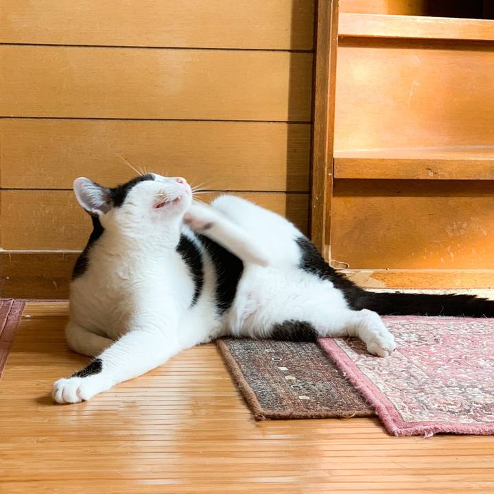 E618072d 5443 4938 9de3 ad0a9d384cd9 1570674050070