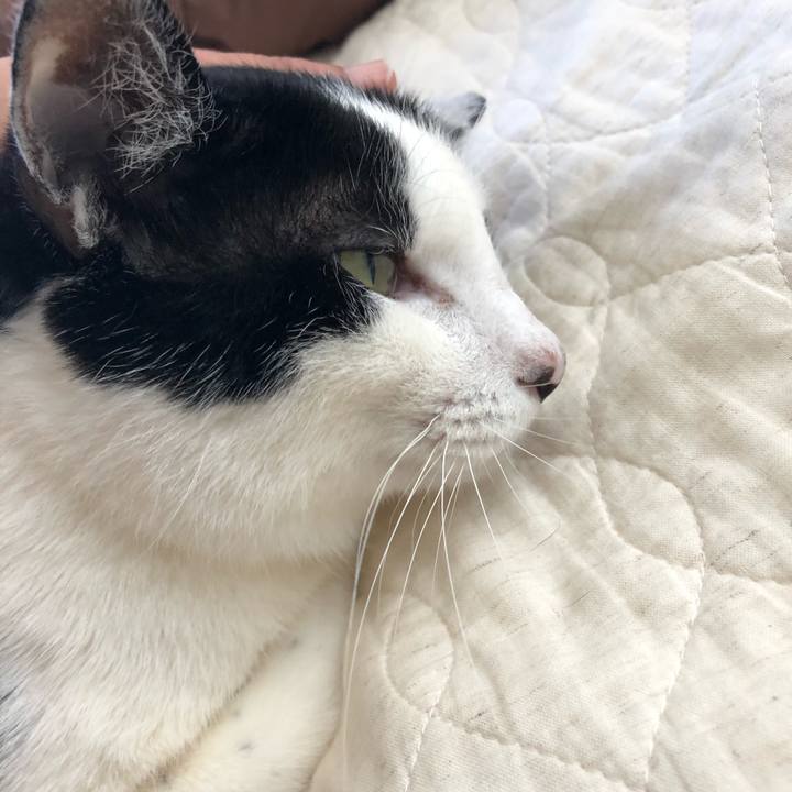 E6180efd 665e 4463 934c 83d4f7fd4009 1557453356234