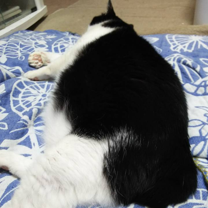 E6183c1b f4af 4461 8c1d ff54398c4d5f 1527513971658