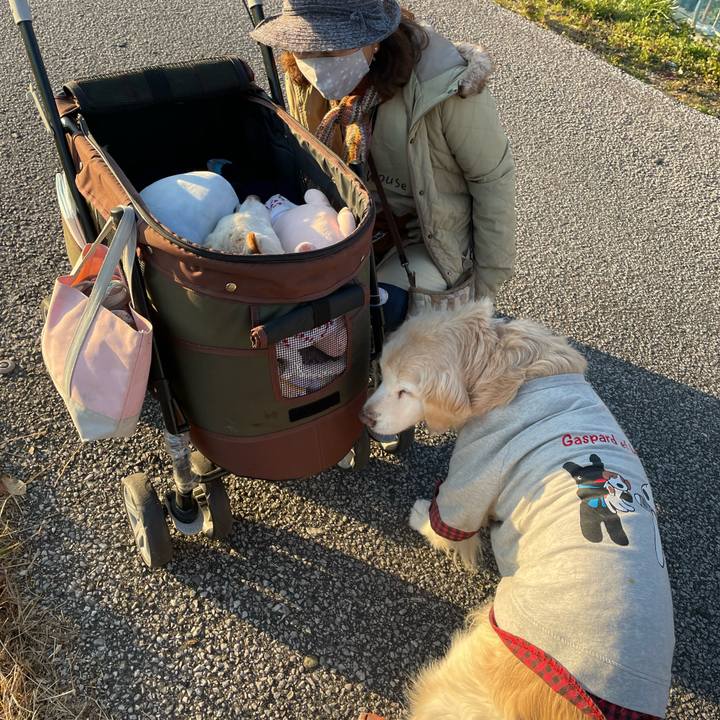 E6187a43 d33c 46ca b7f7 fd25013d05a8 1671553451809