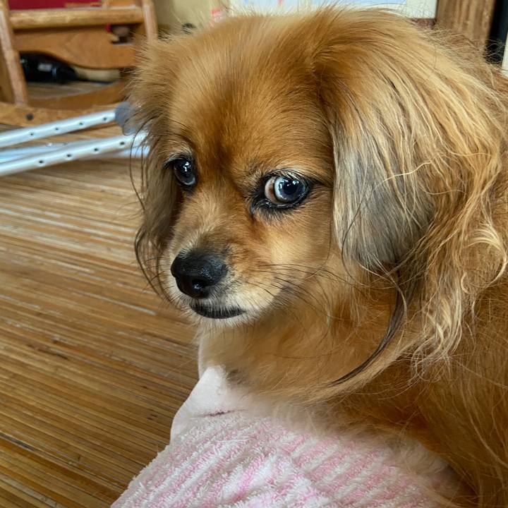 E618c725 7bef 455c a1ee c33516f49489 1662690977039