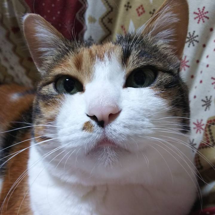 E618ce09 602b 45b2 b3b5 0555d640bf0d 1549455695101