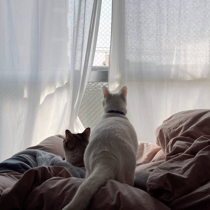 E61901ba 479f 4881 ae12 bc60d03e87ec 1680222982107