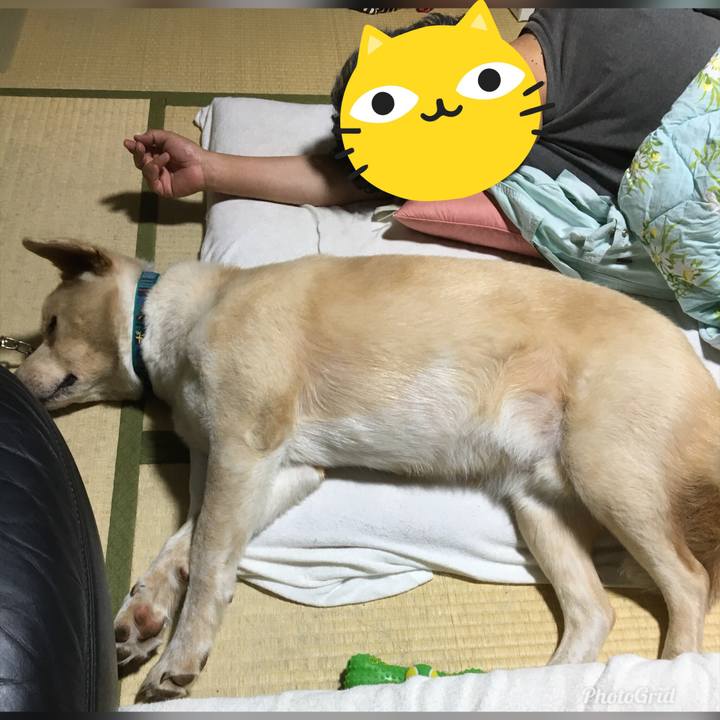 E6191050 aec9 43d5 8200 52a0d0a96f05 1529419979078