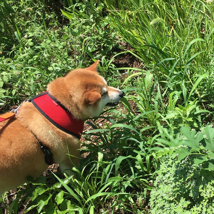 E61919ab d0c5 4d2f a20a 3e403c04da29 1595734379246