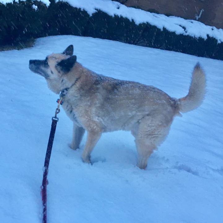 E619267b 66df 4d81 b65e 147d67680fc4 1555291374764