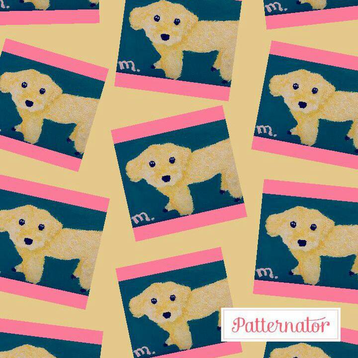 E6195d6d 29ed 4dfb b6d3 359f3895fa46 1511348509976