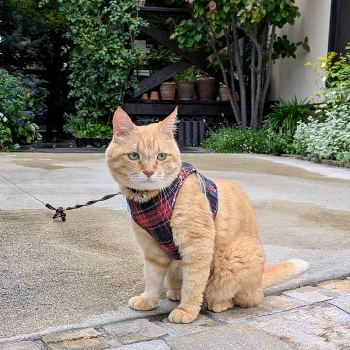 E61978b5 97e7 4e6a 8de1 122ef631c200 1723414133338