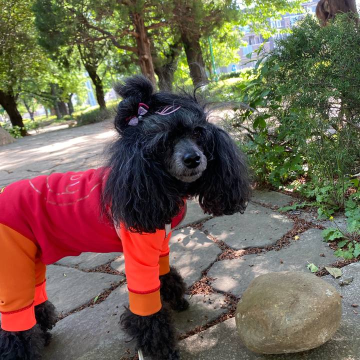 E619893f a4e6 4615 9544 a37397b453b9 1714797329845