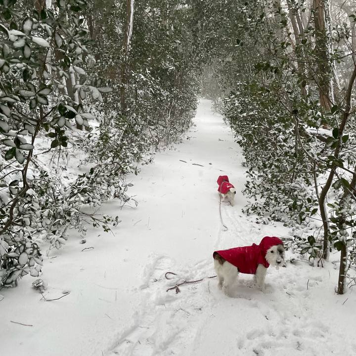 E619c66f 2480 4ff5 8e1e 22cc3724ee4f 1674602627523