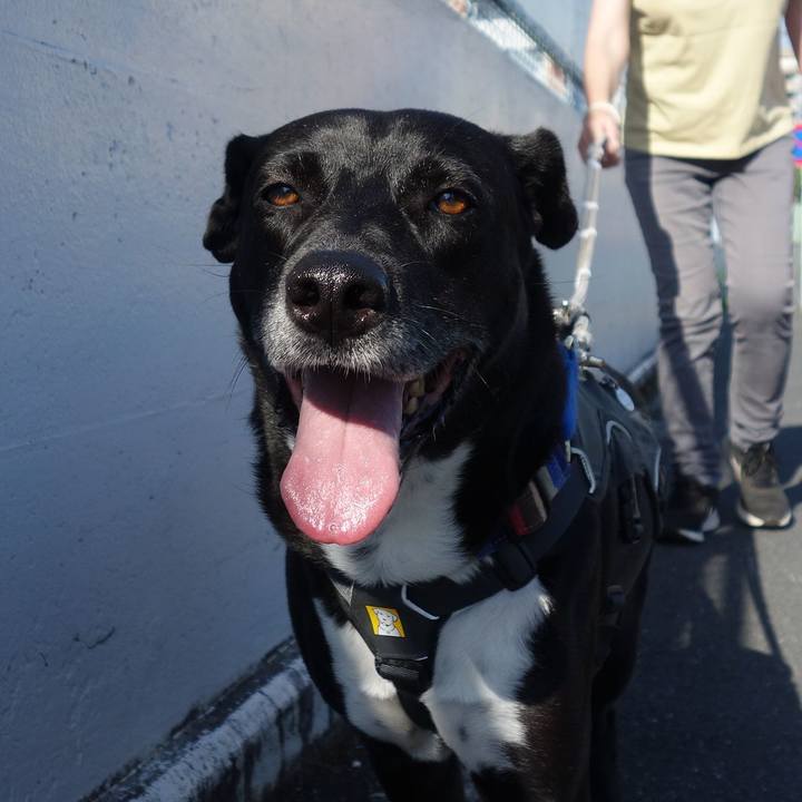 E619ca3a c369 4fd1 a9bd 878b03bb4b82 1653877271017