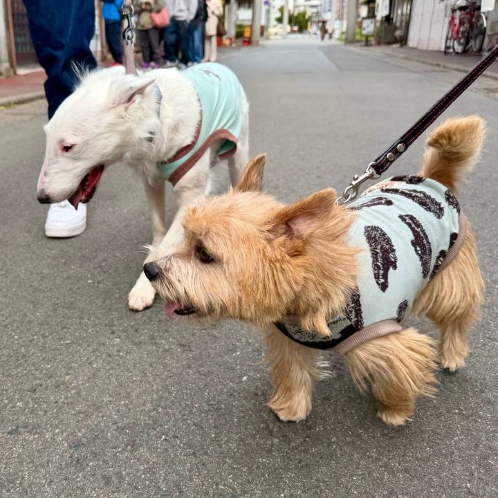 E619d25e 6e8e 4a5c 8e6b e5855c8b1482 1761397812849