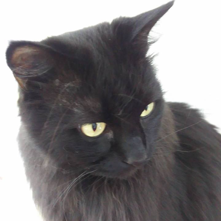 E619e475 0a13 4d61 8974 41a65e644237 1547284616023