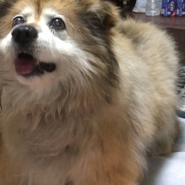 E61a0c8d d9c1 4290 b12d 4e1a1bab6994 1642764319223