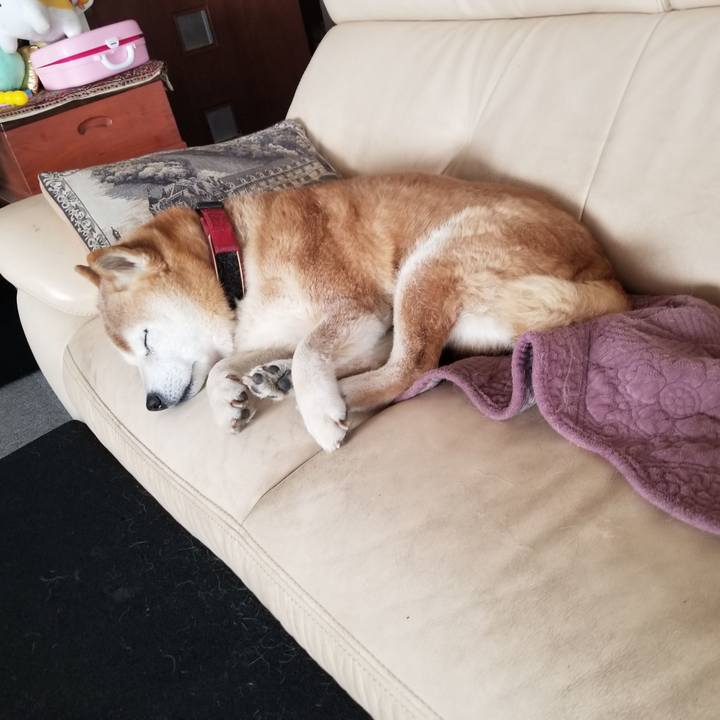 E61a39dc cb07 4d77 ae39 04f286ab0a3e 1739857497311