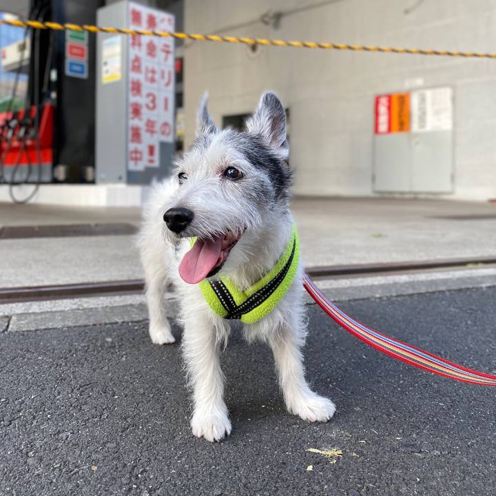 E61a4420 709f 4590 986a 7360fef208bd 1597060143444