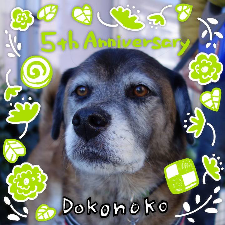 E61a6512 3281 4893 a2bd 1d8d7a403556 1622854880358