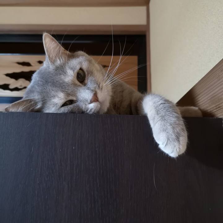 E61a905c cc67 4fb0 95e3 69a5a4172f19 1565358409545