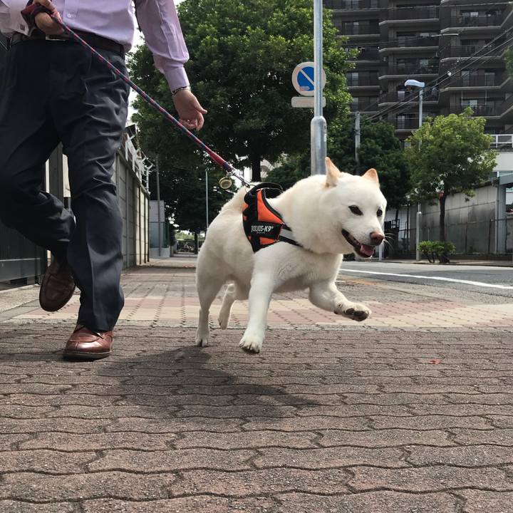 E61aa403 51eb 4c96 9a63 5f6d740bdabc 1531440989964