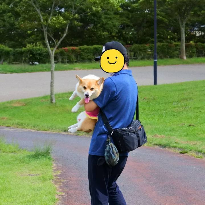 E61aa4bc 65cc 4247 a550 ece47965ae4c 1601045684790