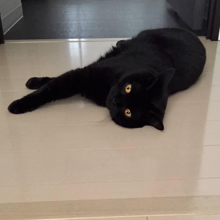 E61aaef7 b37d 4bfc aada 88b01769ee4b 1592793436155