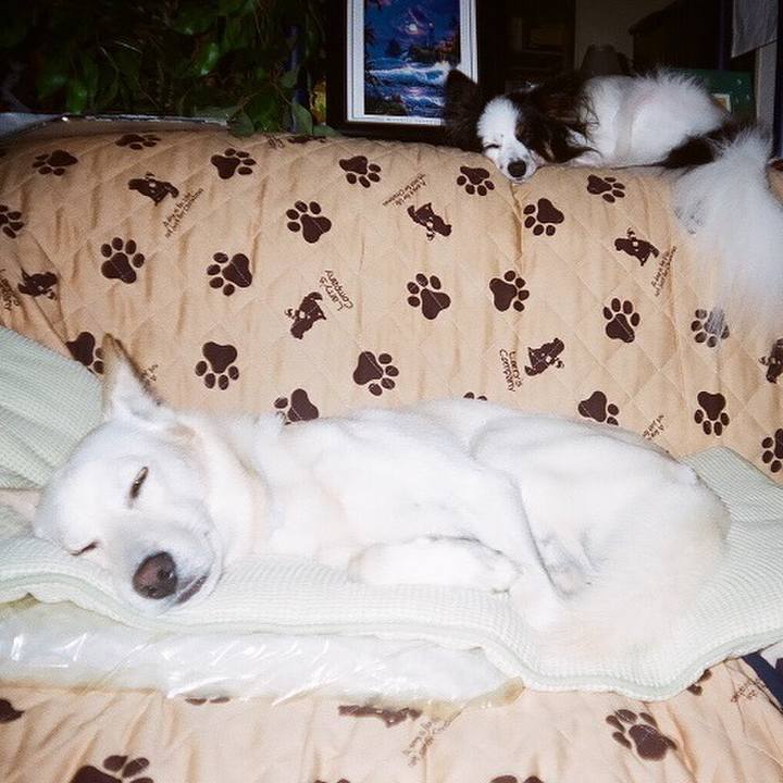 E61aba28 6527 466e 8d41 bbaff94f505c 1551183909447