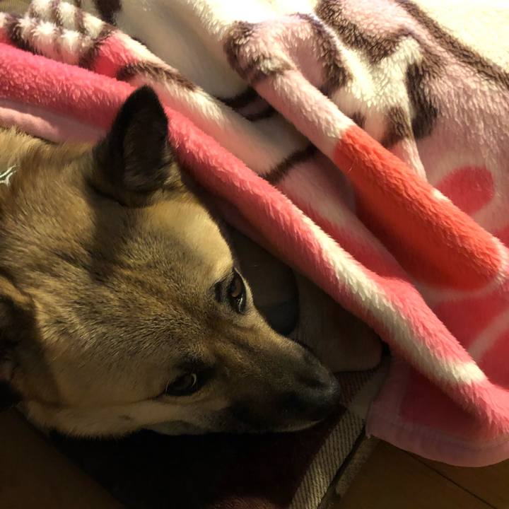 E61adb80 8ba9 471b bca7 54bcf1c3d320 1547213277582