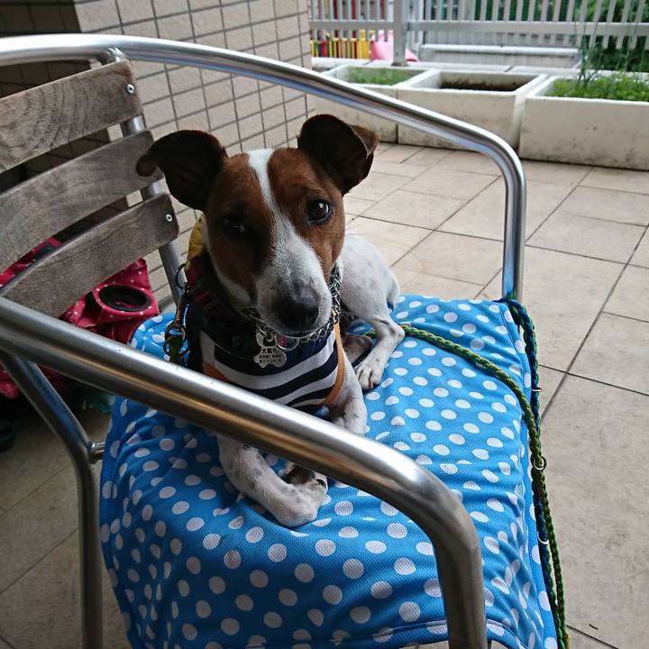 E61af4f1 0a76 4cf2 8d29 6ca02c6761e7 1589783145864