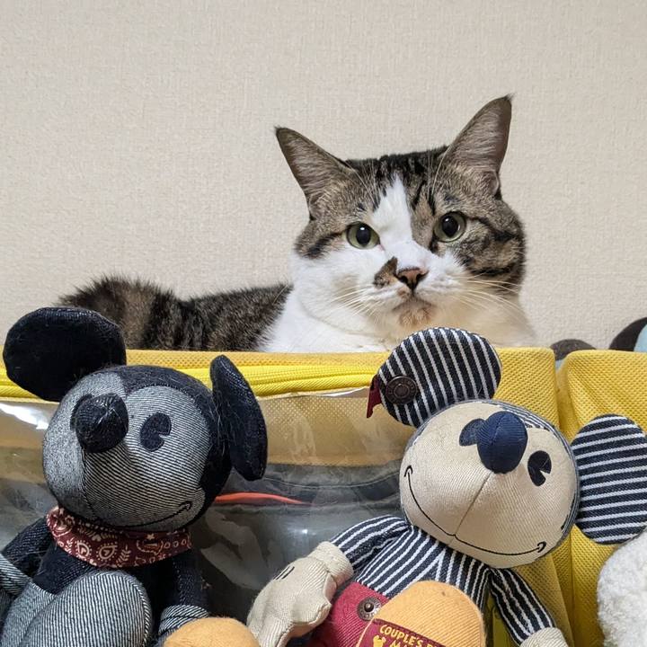 E61b3862 7ab5 42ce b98b 44faa780ecb2 1730086566053