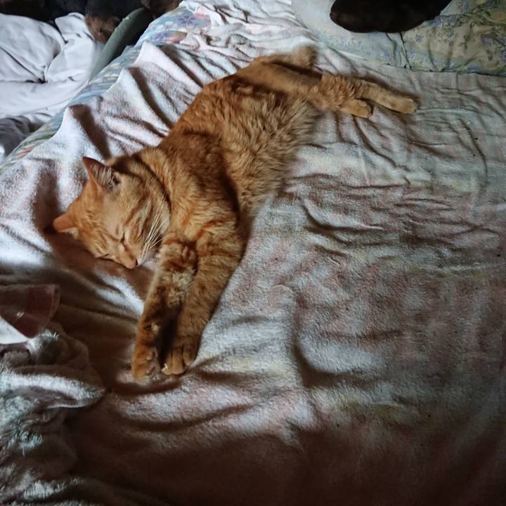 E61b79da 74e1 4288 867a 378ea82a08f0 1659937323806