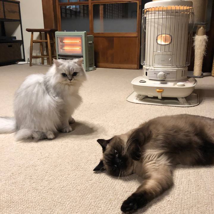 E61ba70c 28ff 41f4 a10d 6cc5ee537d3a 1609736347899