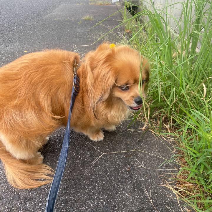 E61be6fb 6746 47e2 bf38 5edfcc1cdd1b 1629591962391