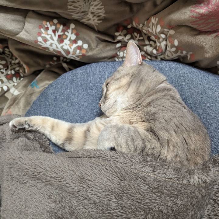 E61beb09 317d 4c36 87a5 eb8d3965b34f 1708400622123