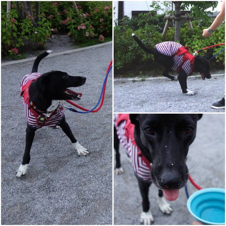 E61c13aa 431c 409d b902 a77b7043f275 1594464088209