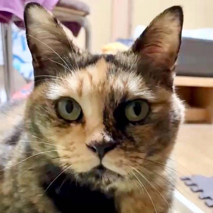 E61c1515 75d6 4ea3 9162 3b8473ea23f3 1763065455916