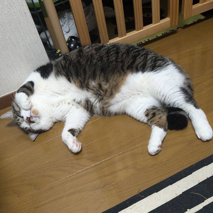 E61cd1fb fa2f 4f5e a13c 156d511d92af 1726274848173