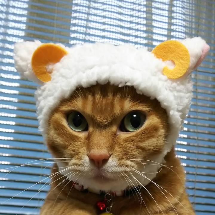 E61cd8d1 2ff9 4dd5 b691 b9d3bde29af5 1566086102467