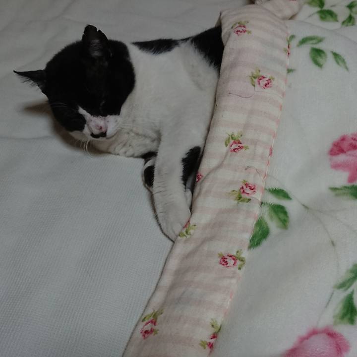 E61cfb15 0091 426b b90b e1641e3dd5cb 1537577663335