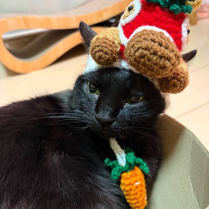 E61d0df7 381d 430d b031 d1b0d4777dba 1767466203211