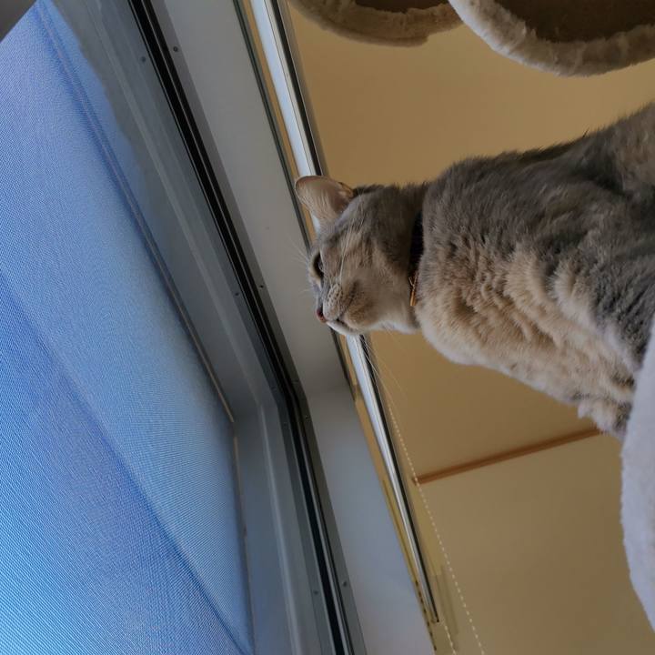 E61d53f2 00ae 4198 b06c 31b67d19151d 1613447656459