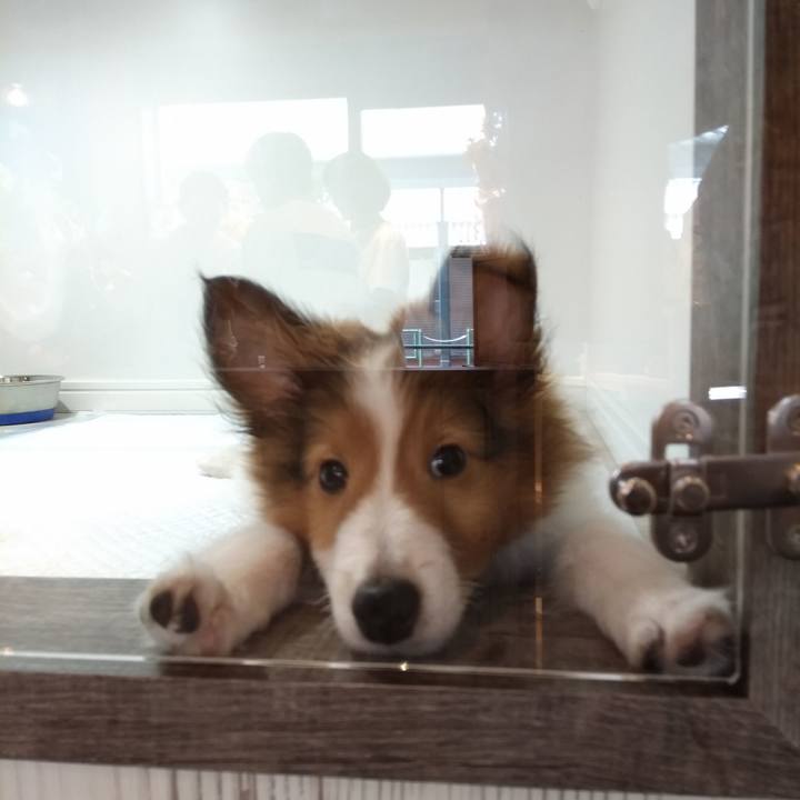 E61d6b77 1f26 4717 a3fe cc240b1f7fc1 1567252522742