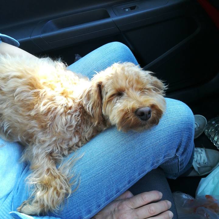 E61d6c5c da7e 4464 8ee2 57b73d7a1f3e 1526800589863