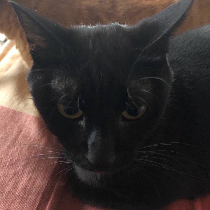 E61d7914 2e2b 483f b3c6 34ce12c4f5dc 1683622148052