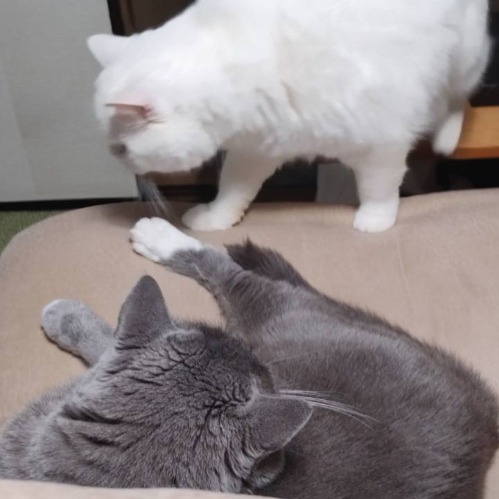 E61d8143 8f01 4375 9a2e 19989d2ecb9f 1703847978120