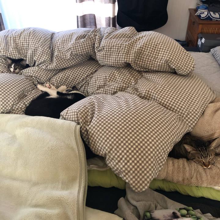 E61d8694 a7b9 4304 974b 9f55f3f1f975 1543112113789