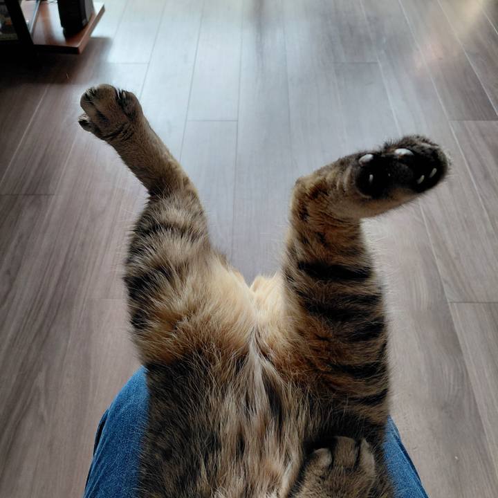 E61dfad5 a3bf 47da 9993 57c528dd8eb3 1774746535942